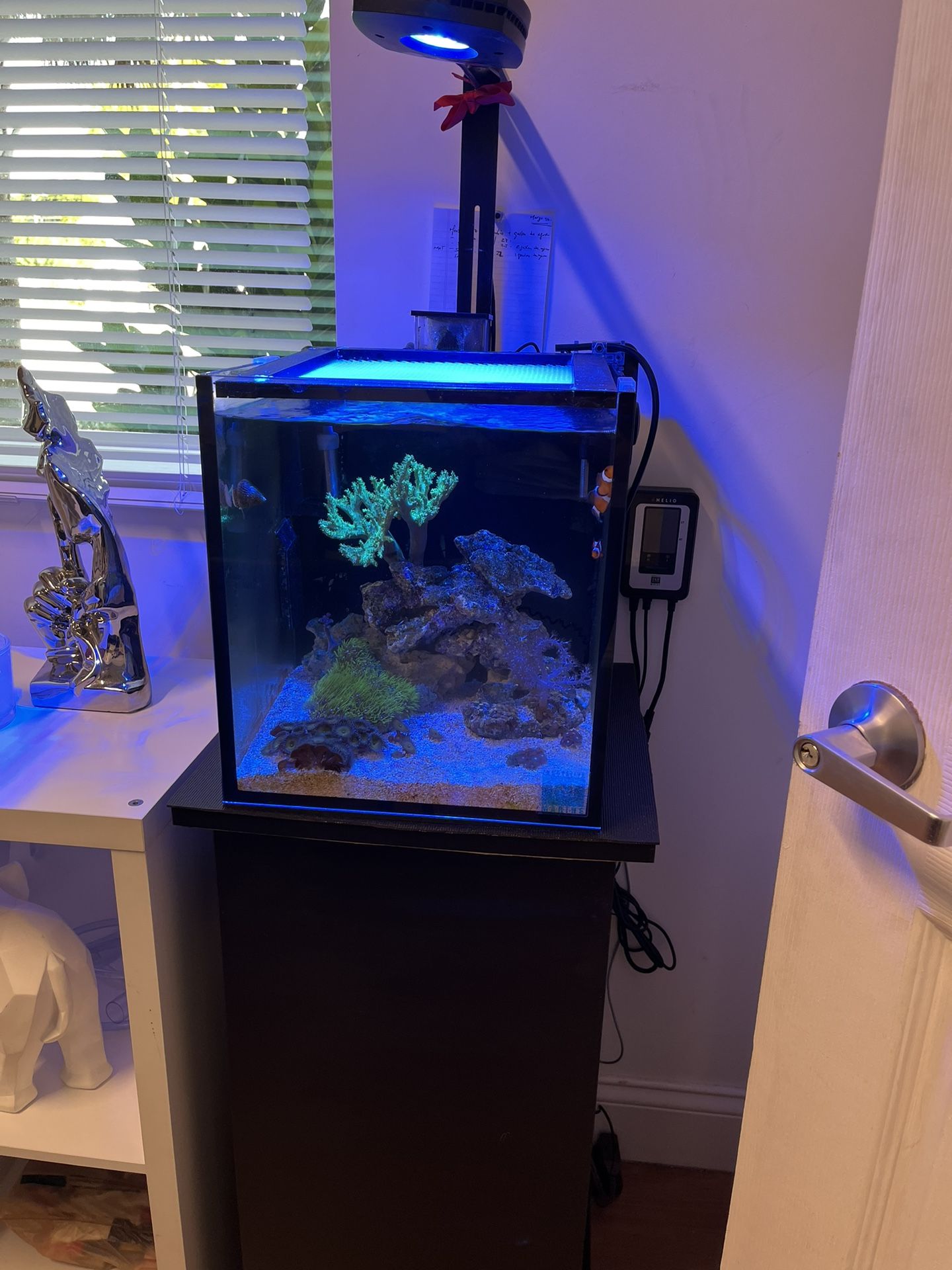 Fish Tank