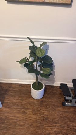 Artificial Fiddle Leaf Fig Tree with Pot and Stand
