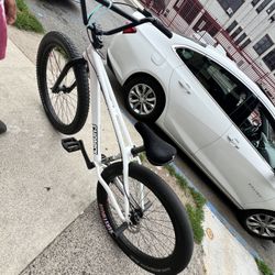 Mafia Chonky 27.5