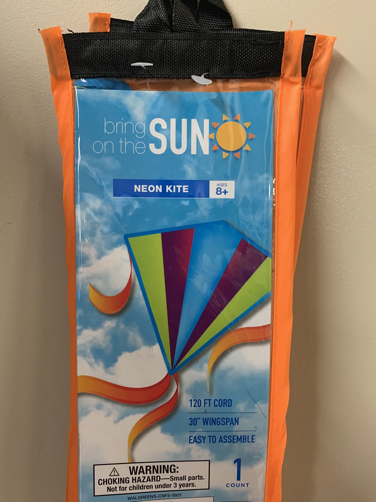 Neon Colorful Kite