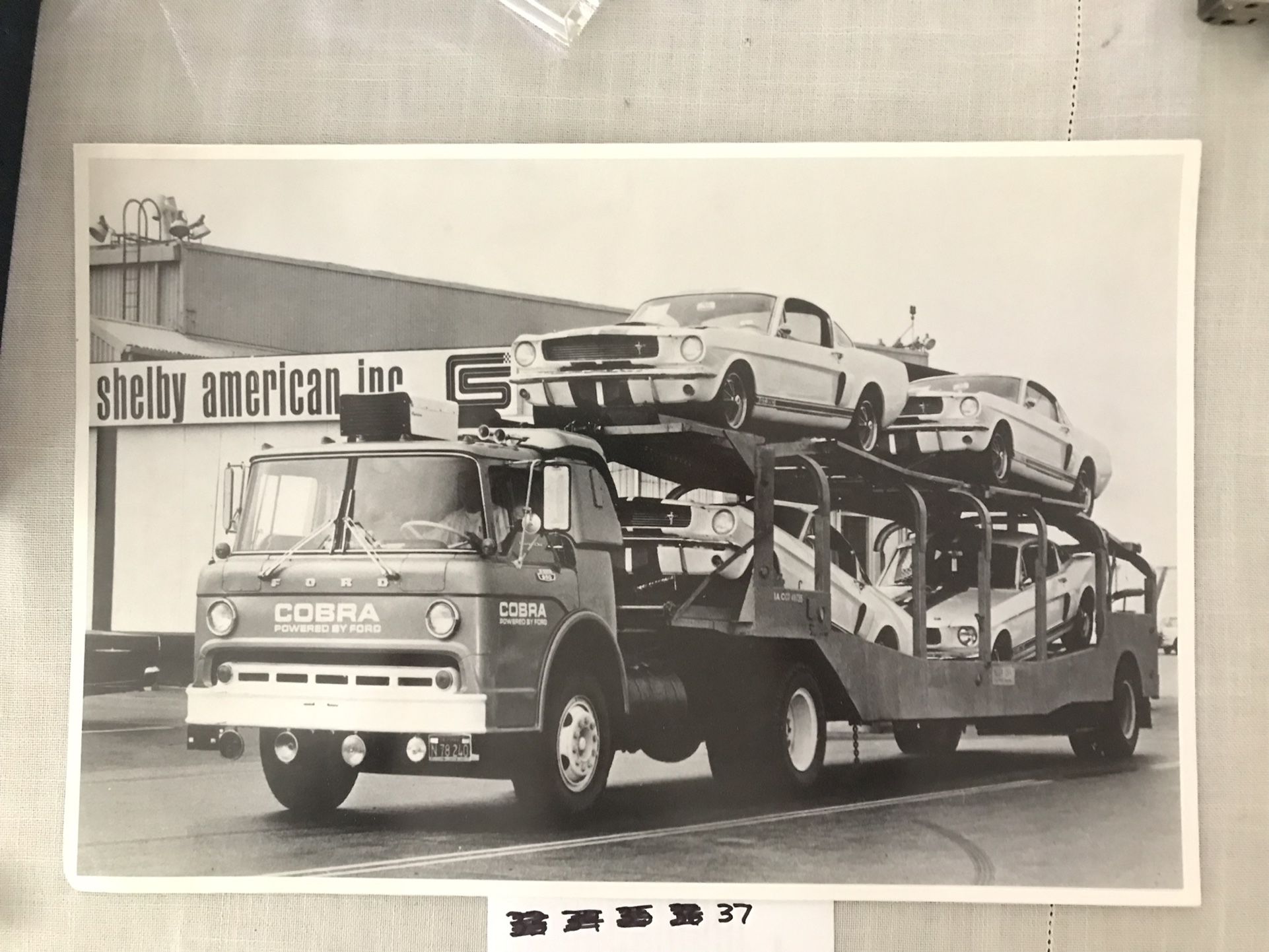 Shelby GT350 Mustangs on a Hauler, Photograph