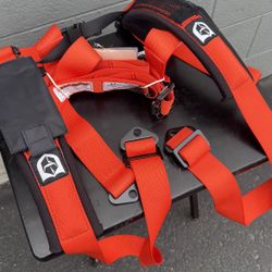 PRO ARMOR 4 POINT SEATBELT HARNESS WITH 2" SEWN IN PADS