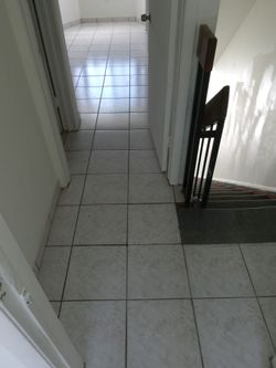 Appt.  Rent
