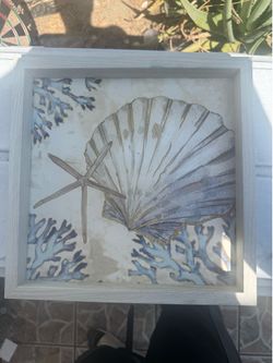 artist Paul Brent’s Playa Shells collection