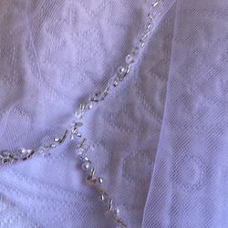 Bride Veil 