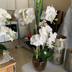 Orchid Vase Arrangement 
