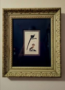 Antique-style framed botanical or ornithological print featuring two birds 20.5"×27.5"