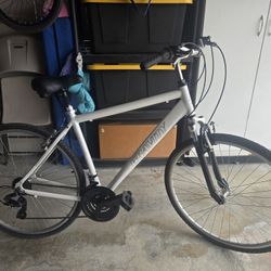 Gravity Dutch Hybrid Bike 26" Tires