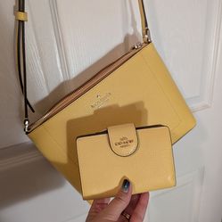 Kate Spade Purse and Coach Wallet