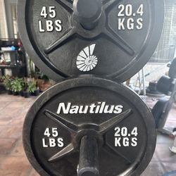 45 Lb Olympic Weights For Sale 