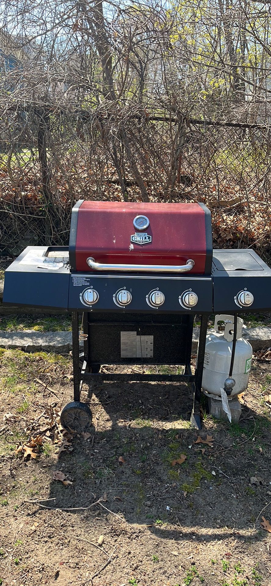 Brand Used Grill 