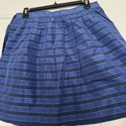 JCrew Skirt for Work or Party Fun!