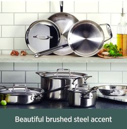 All-Clad D5 5-Ply Brushed Stainless