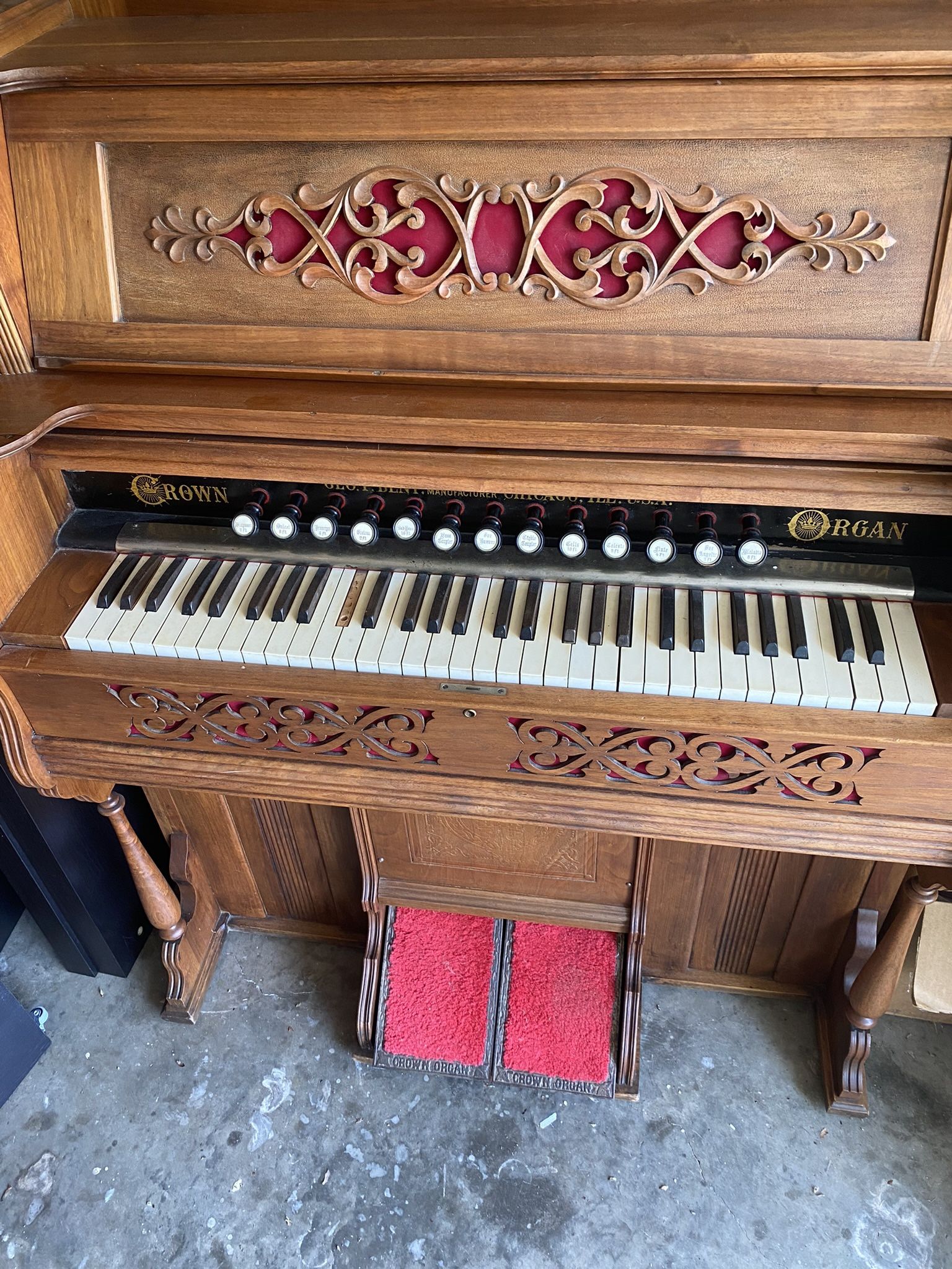 Organ