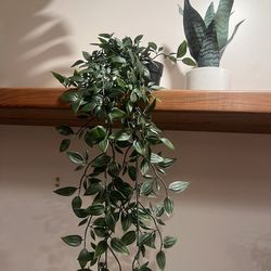 Mixed of Faux plants