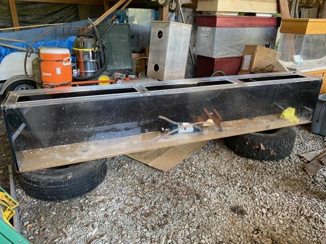 10ft Tank