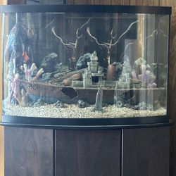 50 Gallon Tank And Stand 