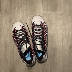 Zion air Jordan shock the world