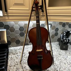 Viola