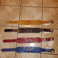 Adult Size Dog Collar 