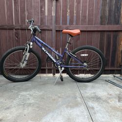 Schwinn Mountain Bike Girls