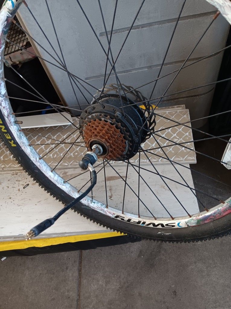 Ebike Hub