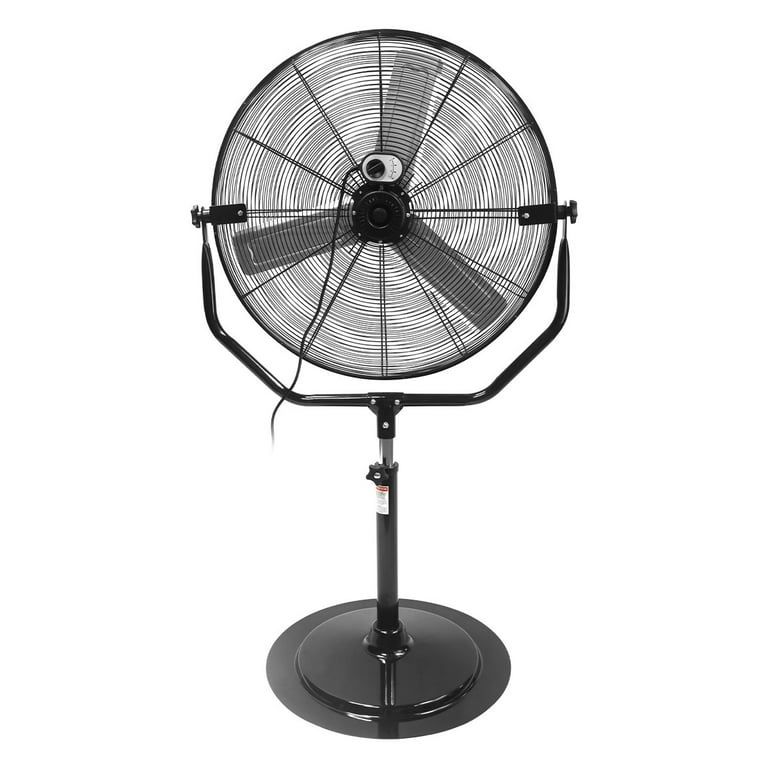 Fan