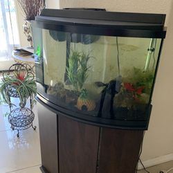  Aquarium , Stand And Accessories 