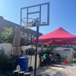 Lifetime Basketball Hoop