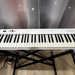 Samson Carbon 61 Key USB MIDI DJ Keyboard Controller(NOT INCLUDED STAND) 