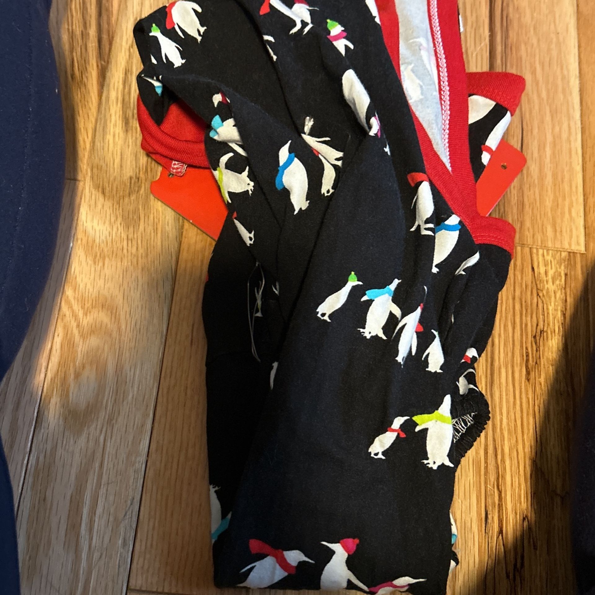 large Dog costume