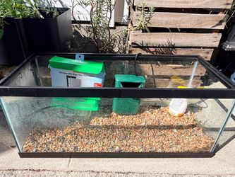 20 gallon long glass aquarium tank with pump and filters