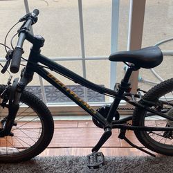 Boys Specialized 20 Inch Bike