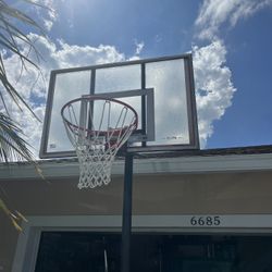 Basketball 