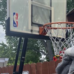 NBA Basketball Hoop