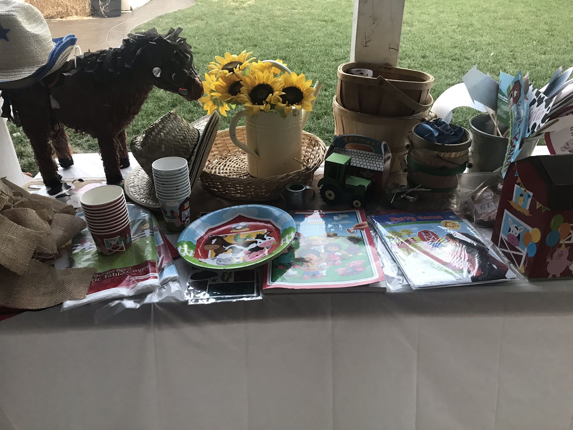 Left over barn bash party supplies