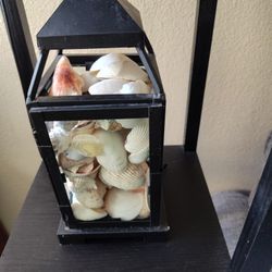 Black Metal Lantern With A Prolifera Of Seashells