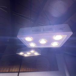 2× X5 LED Grow Lights – $100 for Both or $60 Each