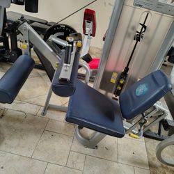 Cybex Commercial Gym Equipment Exercise Fitness Weight Machines Leg Curl Tricep Back Row bundle