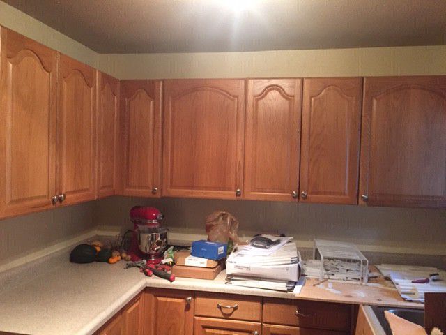 10x10 Kitchen Cabinets Best Offer over $300