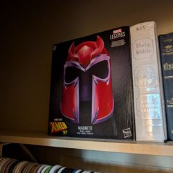 Magneto's Helm