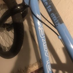20 Inch Black Eye delta cruise Bmx Nice color baby blue