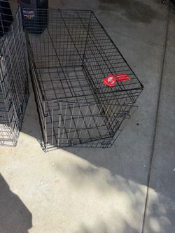Dog Kennel