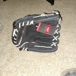 Rawlings 12 Glove