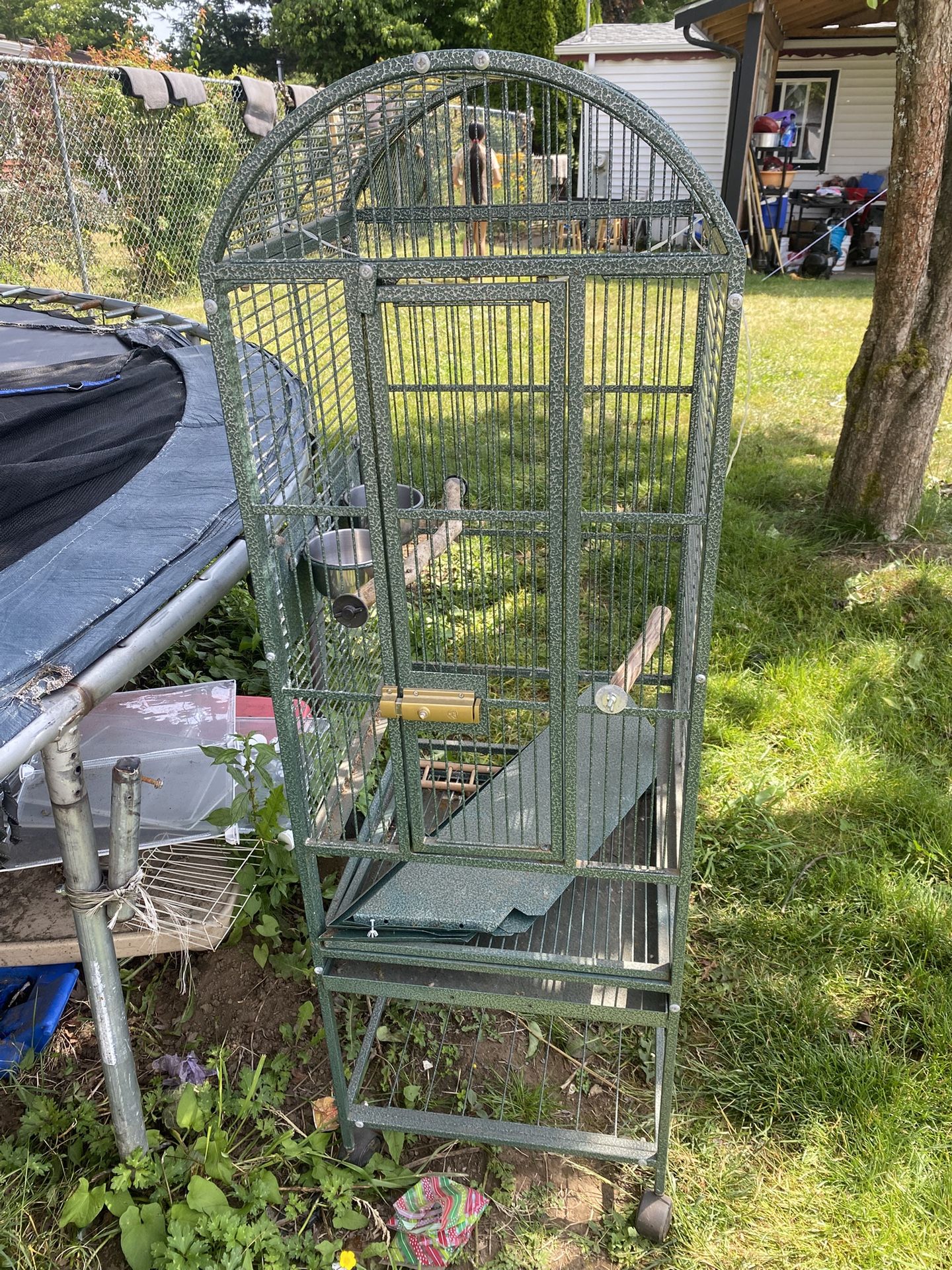 Bird Cage