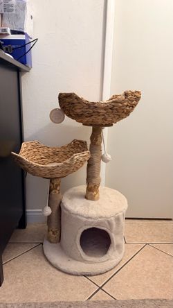 Cat tree beauty