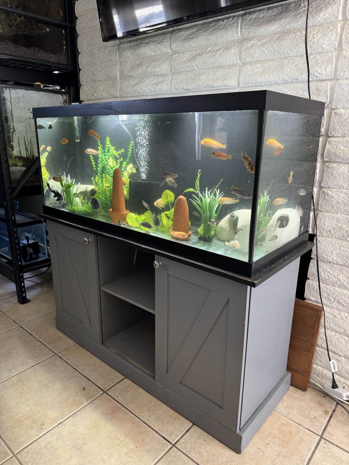 Fish Tank Aquarium 75 Gallon