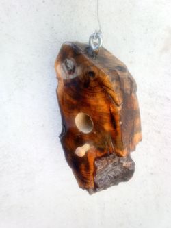 Homemade bird house