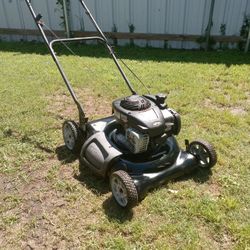 Push Lawn Mower: Briggs And Stratton 21in 