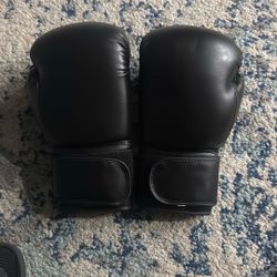 BOXING GLOVES 14oz NEW 